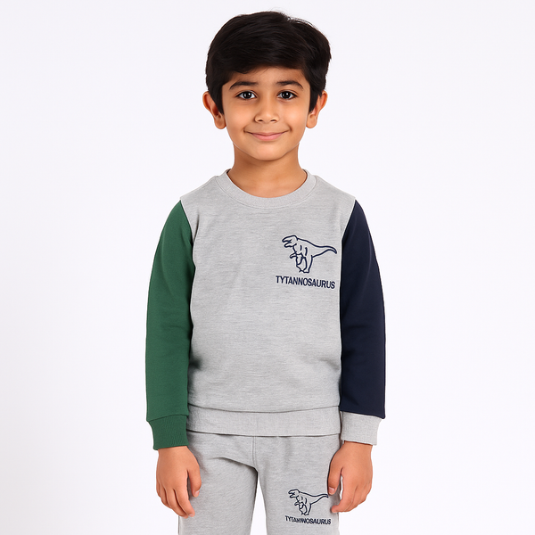 Boy Gray Tyrannosaurus 2 Pc Set 236