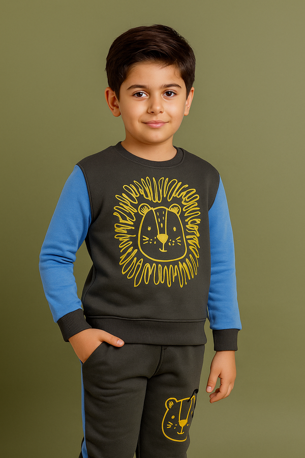 Boys Fleece Gray Lion 2 Pc Set 🦁127