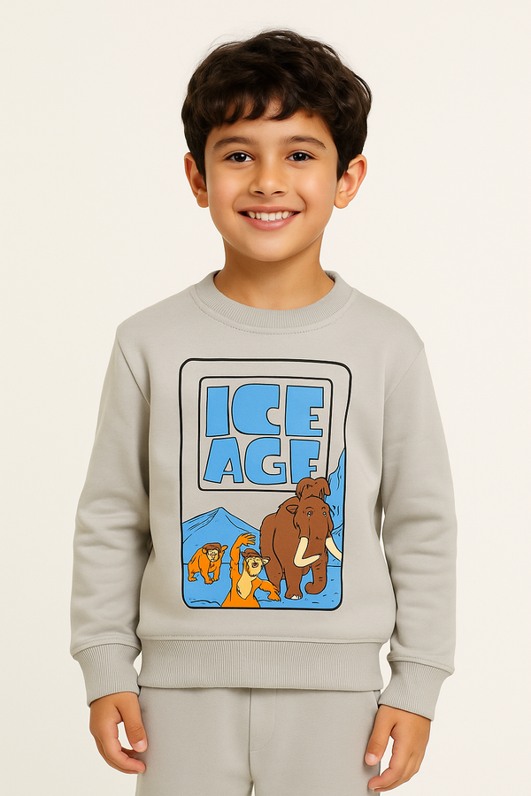 Boy Ice Age Gray Sweatshirt 227