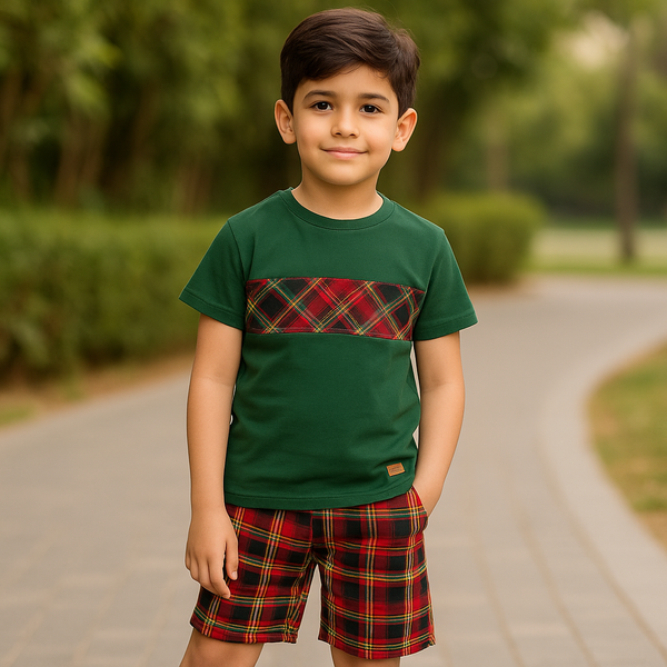 Green with Check Panel 2 Pc 🌿17